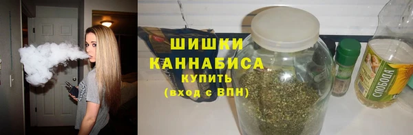 шишки Верхний Тагил