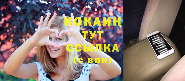 шишки Верхний Тагил