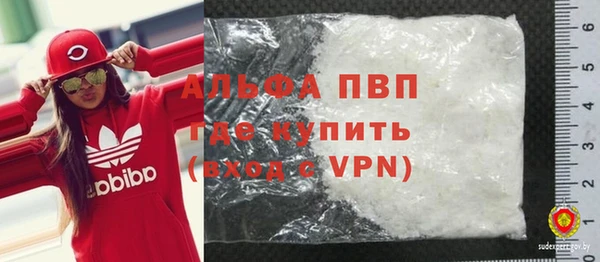 шишки Верхний Тагил